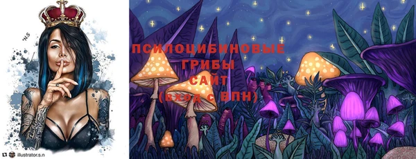 2c-b Алексин