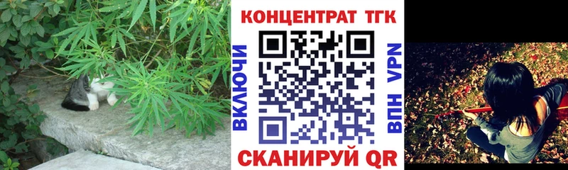 Дистиллят ТГК вейп  Лесной 