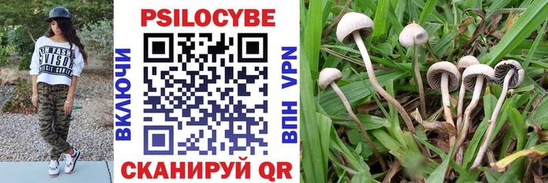 Псилоцибиновые грибы Psilocybe сколько стоит Лесной